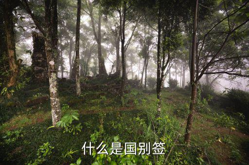 什么是國別報送條件，國別是什么意思