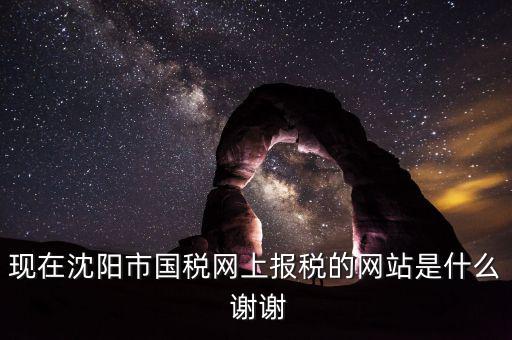 現(xiàn)在沈陽市國(guó)稅網(wǎng)上報(bào)稅的網(wǎng)站是什么 謝謝