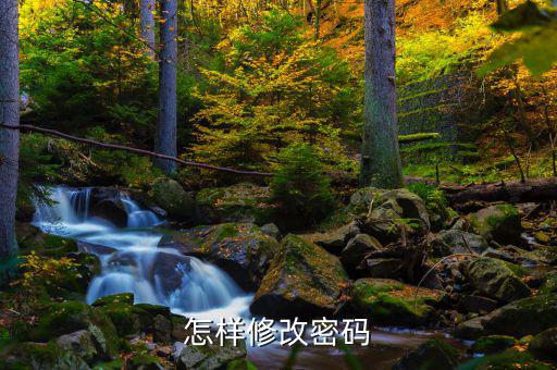 怎樣改國稅密碼是什么，山東省國家稅務(wù)局網(wǎng)上辦稅平臺(tái)納稅人的密碼怎么改