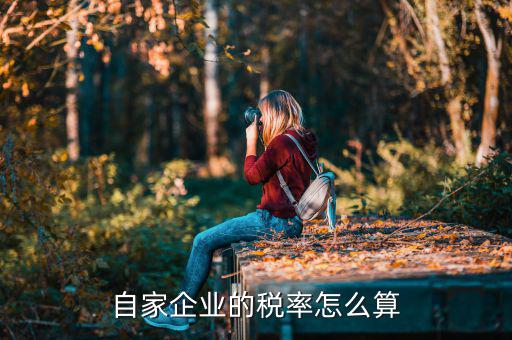 如何查詢公司稅率，想查一個公司的稅費情況怎么查