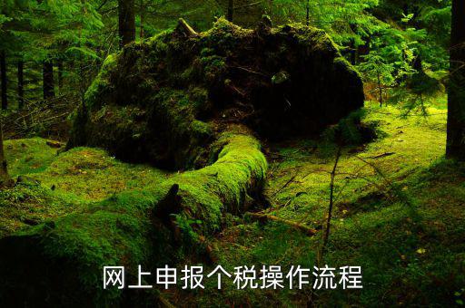 個人所得稅如何進(jìn)行網(wǎng)上申報，個人所得稅網(wǎng)上申報流程
