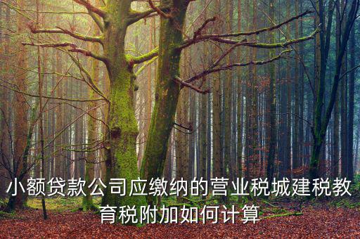 小額貸款公司如何繳稅，小額貸款公司的營業(yè)稅怎么算 sitewenwensosocom