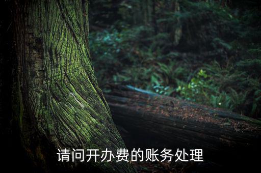 開辦費(fèi)如何處理，請問開辦費(fèi)的賬務(wù)處理