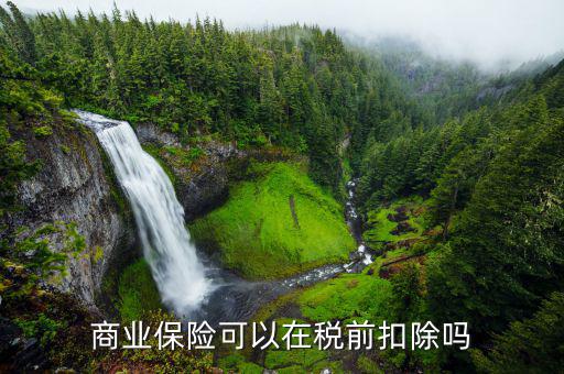 商業(yè)保險(xiǎn)稅前扣除如何操作，商業(yè)養(yǎng)老保險(xiǎn)稅前扣除為什么要這樣做