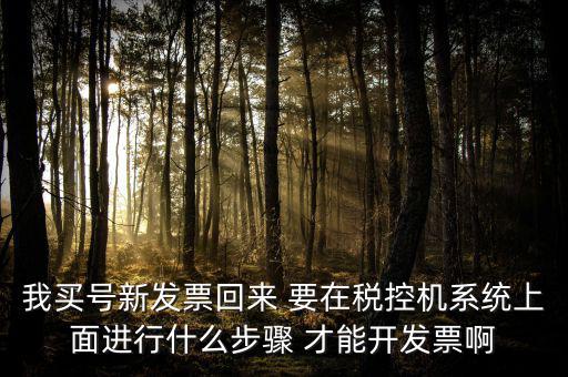 稅控系統(tǒng)如何開票，我買號新發(fā)票回來 要在稅控機系統(tǒng)上面進行什么步驟 才能開發(fā)票啊