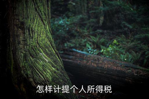 個(gè)人所得稅如何計(jì)提，如何計(jì)提個(gè)人所得稅
