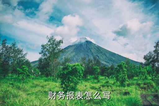 如何填寫財務報表，財務報表的填寫