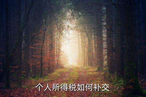 個(gè)稅如何補(bǔ)繳，個(gè)人所得稅如何補(bǔ)交