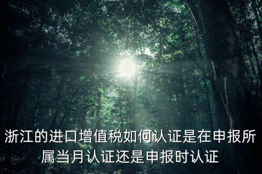 浙江國(guó)稅進(jìn)口發(fā)票如何認(rèn)證，浙江的進(jìn)口增值稅如何認(rèn)證是在申報(bào)所屬當(dāng)月認(rèn)證還是申報(bào)時(shí)認(rèn)證