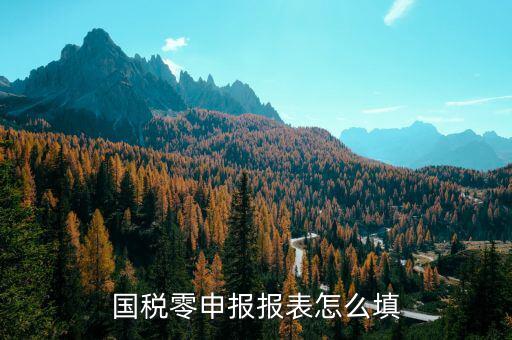 國稅地稅如何零申報表，國稅零申報報表怎么填