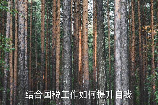 國稅工作總結(jié)如何出彩，2015年國稅貨勞科工作總結(jié)