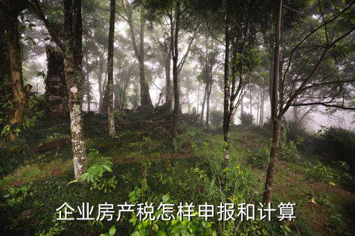 企業(yè)房產(chǎn)稅如何申報(bào)，企業(yè)何如申報(bào)房產(chǎn)稅