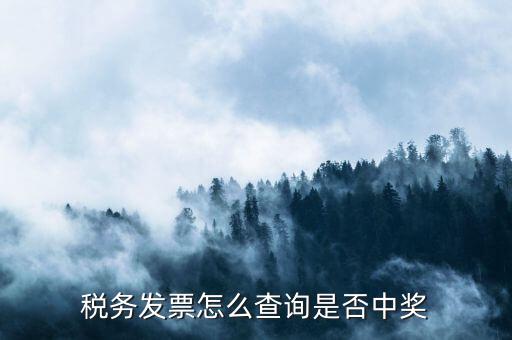 如何查地稅發(fā)票中獎(jiǎng)，稅務(wù)發(fā)票怎么查詢是否中獎(jiǎng)