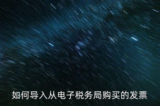 如何導入從電子稅務(wù)局購買的發(fā)票