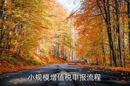 小規(guī)模納稅人 如何申報，小規(guī)模增值稅申報流程