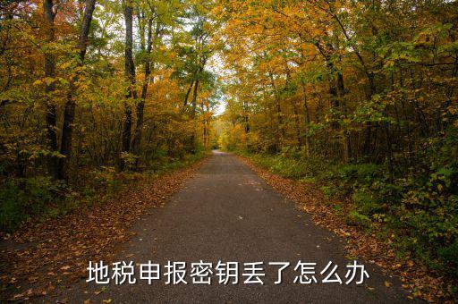 武漢地稅密鑰如何補(bǔ)辦，地稅報(bào)稅key掉了補(bǔ)辦需要什么手續(xù)要多少錢