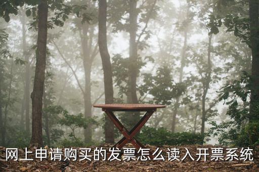 網(wǎng)上領(lǐng)票如何讀入，網(wǎng)上申請(qǐng)購買的發(fā)票怎么讀入開票系統(tǒng)