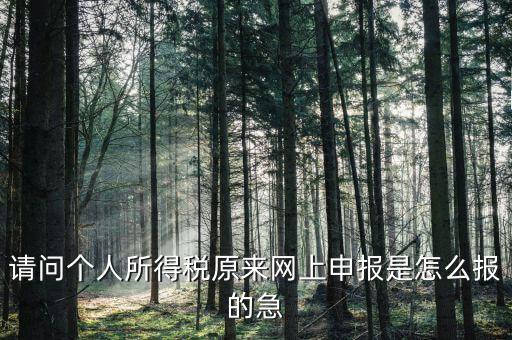 請問個人所得稅原來網上申報是怎么報的急