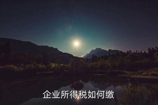 企業(yè)所得稅如何繳稅，企業(yè)所得稅如何繳納