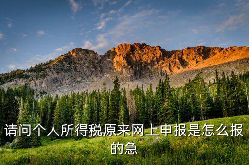 個(gè)人所得稅如何網(wǎng)上申報(bào)，個(gè)人所得稅網(wǎng)上申報(bào)流程