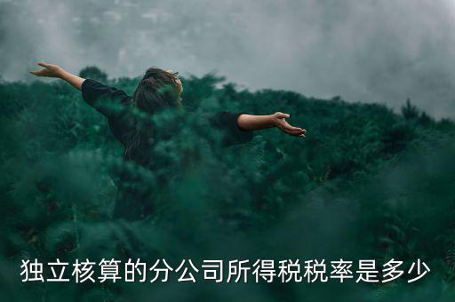 獨立核算的分公司如何納稅，誰知道獨立核算的同城分公司如何繳稅