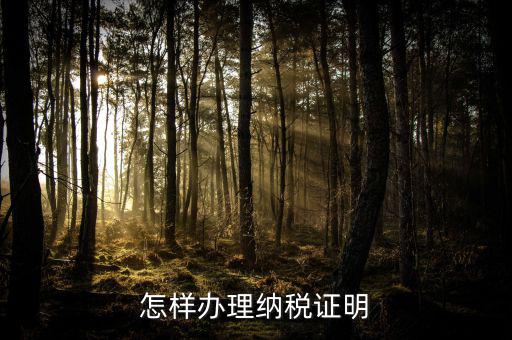 廈門如何做假的納稅證明，怎樣辦理納稅證明