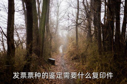 如何做票種認定，如何申請發(fā)票票種