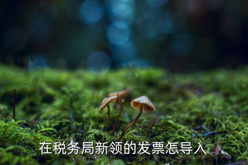 在稅務(wù)局新領(lǐng)的發(fā)票怎導入