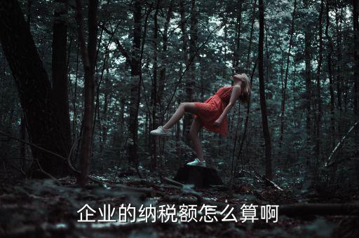 企業(yè)納稅如何計(jì)算，企業(yè)的納稅額怎么算啊