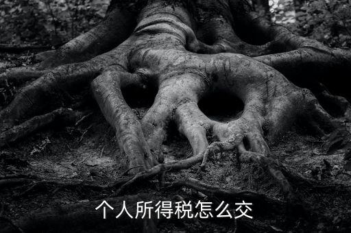 個(gè)人所得稅如何繳納，個(gè)人所得稅怎么繳納