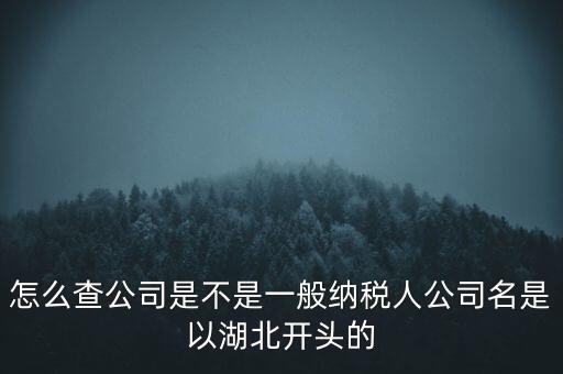 如何查詢企業(yè)是否是一般納稅人，怎么查公司是不是一般納稅人公司名是以湖北開頭的