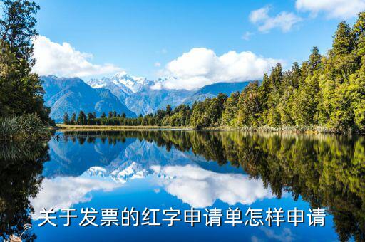 湖南電子發(fā)票如何申請表，關(guān)于發(fā)票的紅字申請單怎樣申請