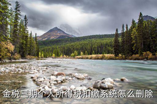 金稅三期個稅如何卸載，金稅三期個人所得稅扣繳系統(tǒng)怎么刪除