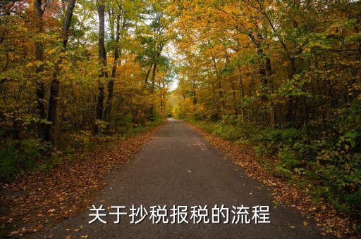 抄稅后如何報稅，抄報稅的操作步驟是什么