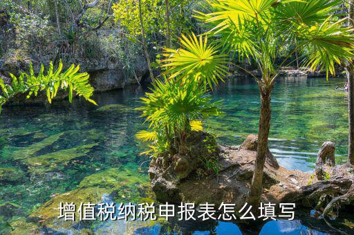 如何填寫增值稅納稅申報表，增值稅申報表如何填寫