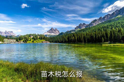 苗木增值稅免稅如何申報(bào)，苗木稅怎么報(bào)