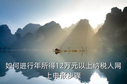 攜稅寶如何申報12萬元，年收入12萬如何申報