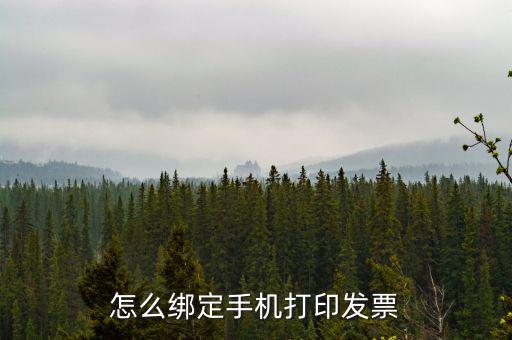 百旺電子發(fā)票如何綁定終端，尚未配備電子發(fā)票終端怎么處理