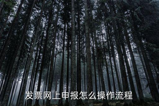 如何國稅局網(wǎng)上申請開票，如何登錄稅務(wù)網(wǎng)上開票