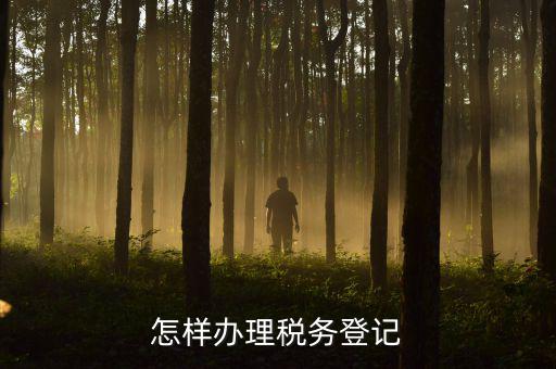 電子國(guó)稅如何稅務(wù)登記，如何進(jìn)行電子報(bào)稅的稅務(wù)登記