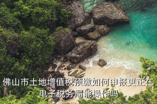佛山市土地增值稅預繳如何申報更正在電子稅務局能操作嗎