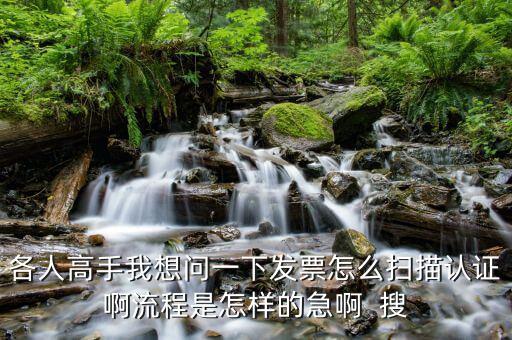 如何使用掃描儀認證發(fā)票嗎，各人高手我想問一下發(fā)票怎么掃描認證啊流程是怎樣的急啊  搜