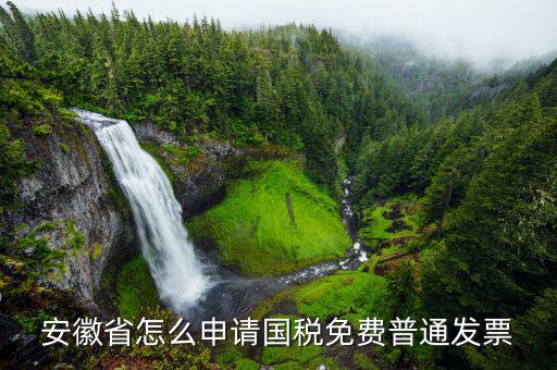 安徽省怎么申請(qǐng)國(guó)稅免費(fèi)普通發(fā)票