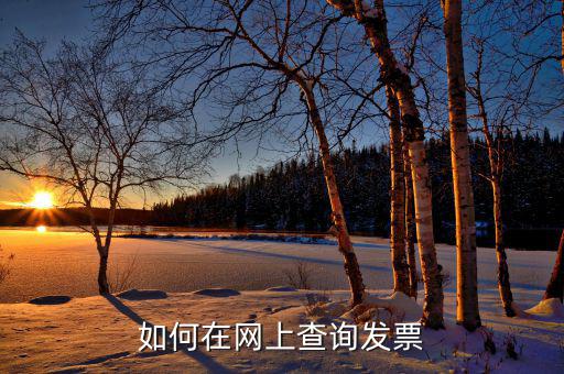 如何查詢網(wǎng)絡(luò)發(fā)票，怎樣從網(wǎng)上報(bào)稅系統(tǒng)查已開的發(fā)票