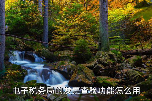 地稅的電子稅票如何查詢，電子稅務(wù)局的發(fā)票查驗(yàn)功能怎么用