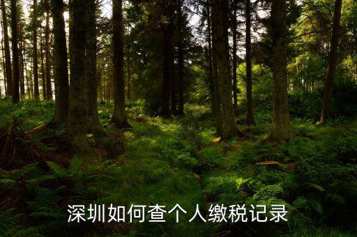 深圳如何查詢地稅，深圳個稅怎么查