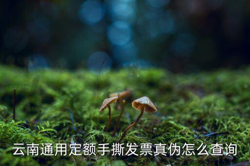 云南定額發(fā)票如何查詢系統(tǒng)，云南通用定額手撕發(fā)票真?zhèn)卧趺床樵?/></a></span><span id=