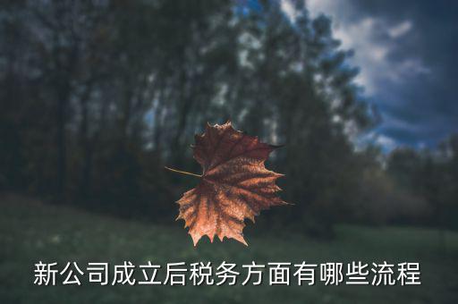 新辦公司如何進行稅務登記補錄，新公司成立后稅務方面有哪些流程
