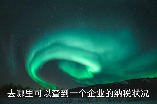企業(yè)在哪納稅如何查，去哪里可以查到一個(gè)企業(yè)的納稅狀況