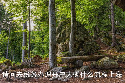 如何辦理稅務(wù)開(kāi)戶，請(qǐng)問(wèn)去稅務(wù)辦理開(kāi)戶大概什么流程上海
